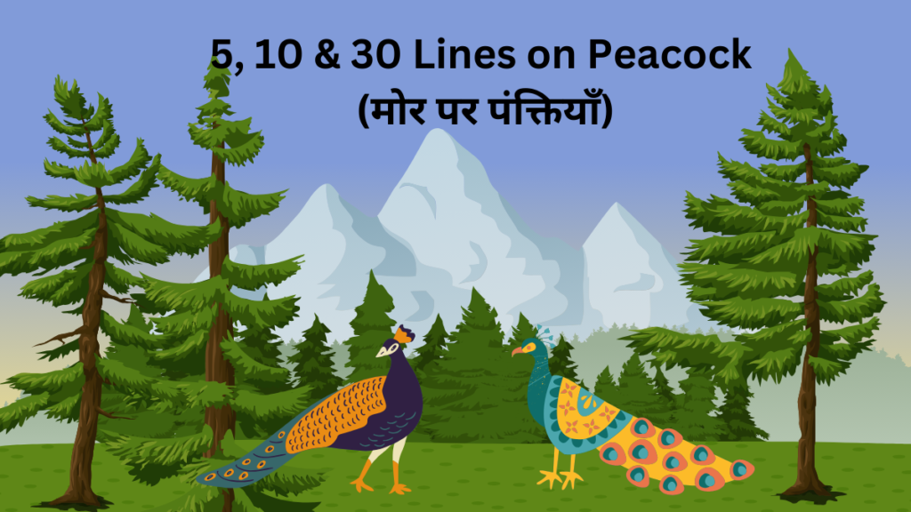 5, 10 & 30 Lines on Peacock in Hindi 2024 / मोर पर पंक्तियाँ