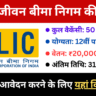 LIC New Vacancy Supervisor